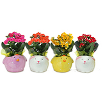 Animal Ceramic Pot