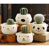 Animal Ceramic Pot
