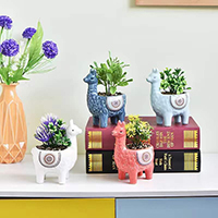 Animal Ceramic Pot