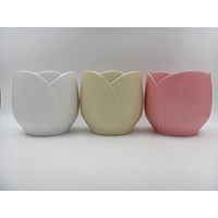 Spring Ceramic Pot