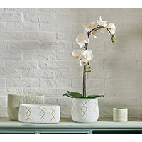 Orchid Ceramic Pot