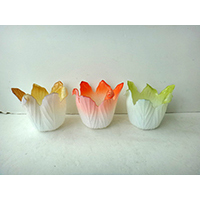 Glass Pot
