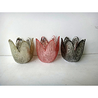 Glass Pot