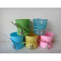 Glass Pot