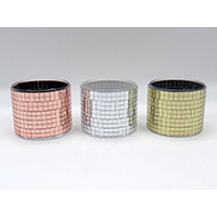 Glass Pot