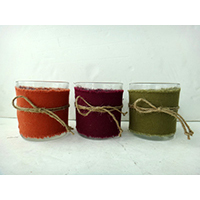 Glass Pot