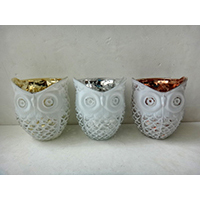 Glass Pot